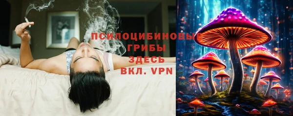 mdpv Балахна