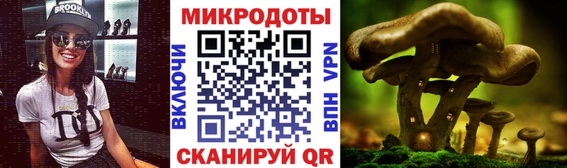 купить наркоту  Олонец  Псилоцибиновые грибы Cubensis 